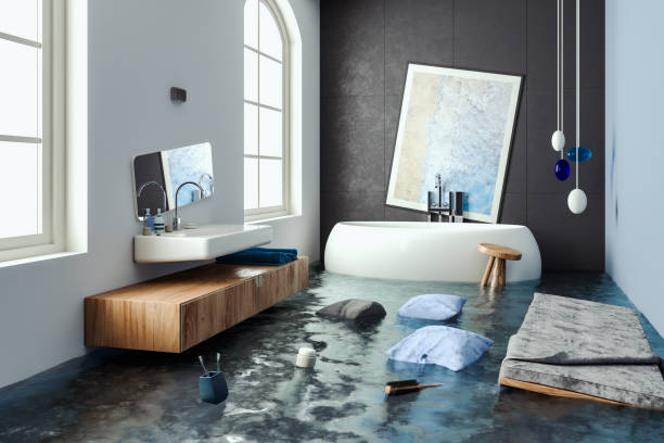 Best Flooded house restoration  in Carbondale, CO