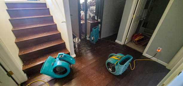 Best Fire Damage Restoration  in Carbondale, CO