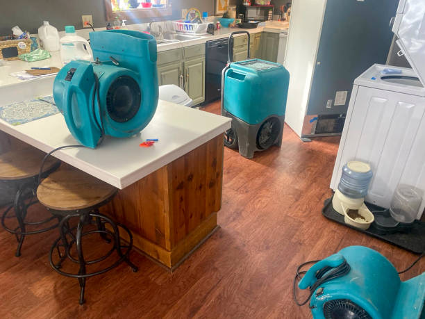 Best Ceiling water damage repair  in Carbondale, CO