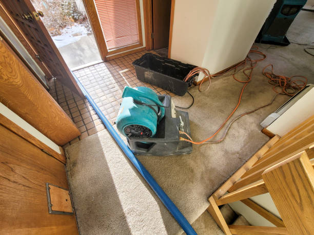 Best Ceiling water damage repair  in Carbondale, CO