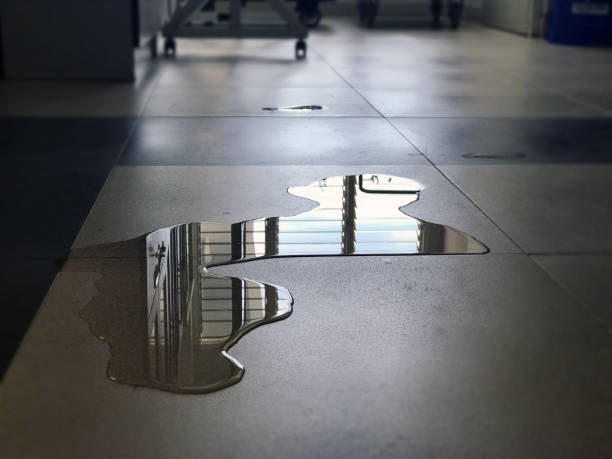 Best 24-hour water damage restoration  in Carbondale, CO