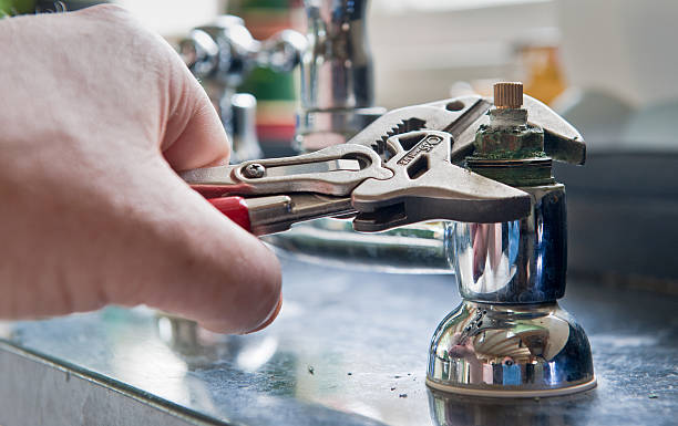 Best Local water damage restoration  in Carbondale, CO