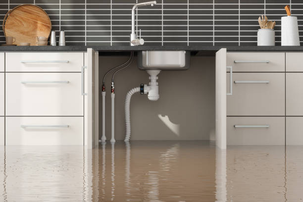 Professional Water damage restoration in Carbondale, CO
