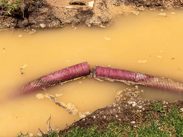 Water damage restoration experts in Carbondale, CO