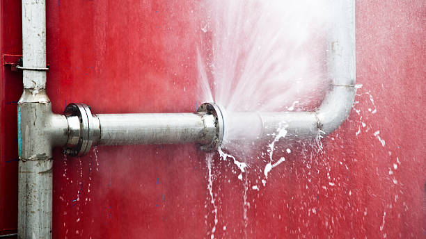 Best Sewage cleanup and water damage restoration  in Carbondale, CO