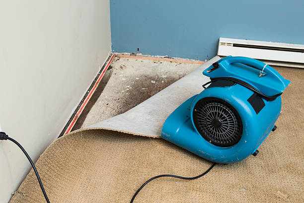 Best Water damage restoration near me  in Carbondale, CO