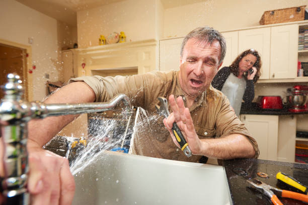 Best Flooded house restoration  in Carbondale, CO